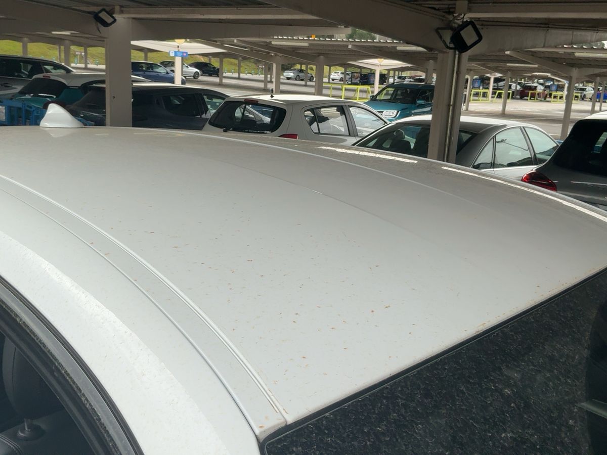 Alfa Romeo 2019 — photo 14