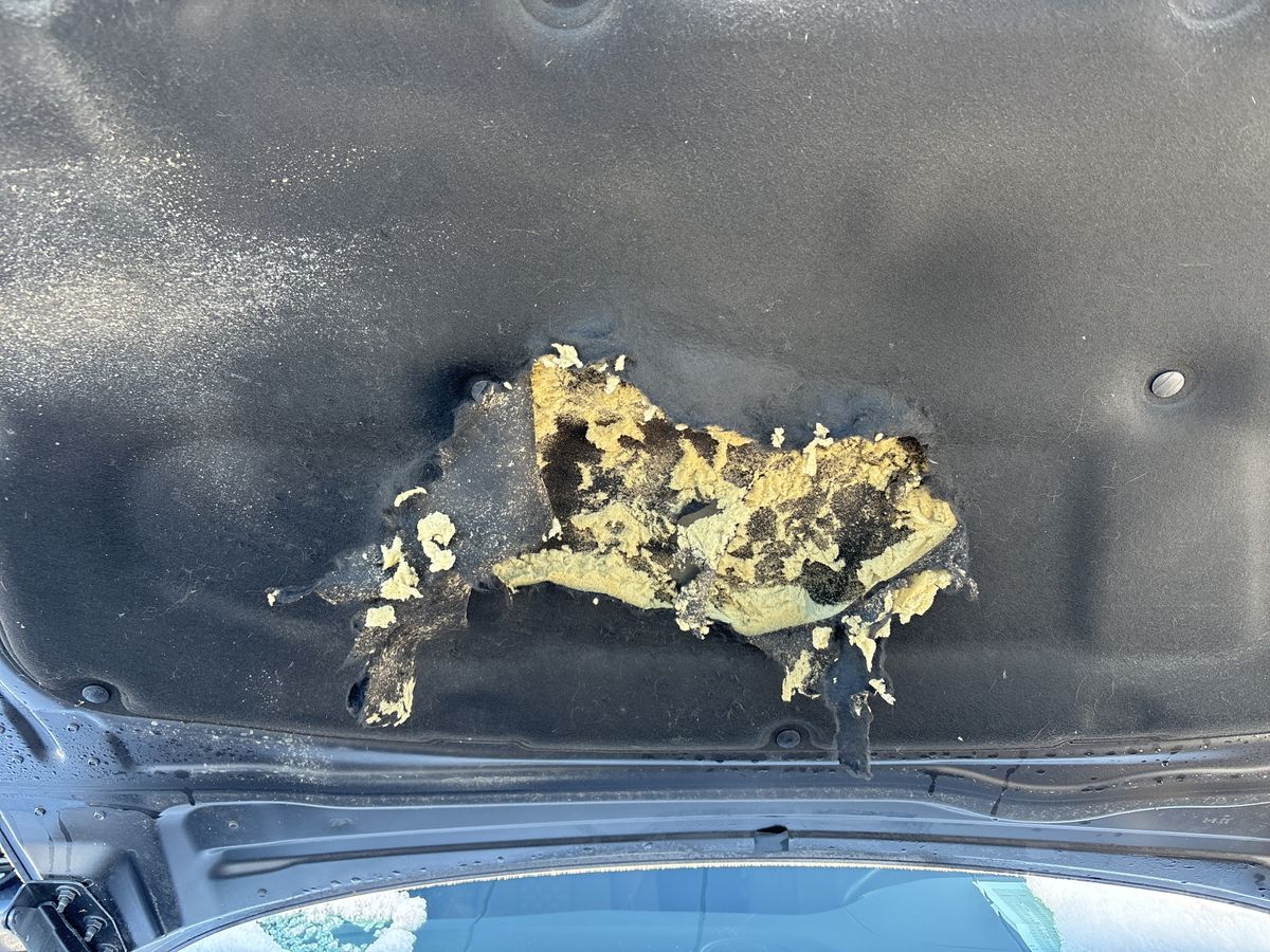 Peugeot 508 d'occasion