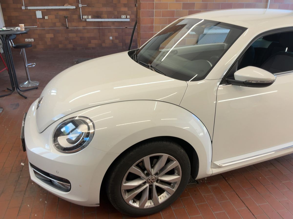 Volkswagen Beetle d'occasion
