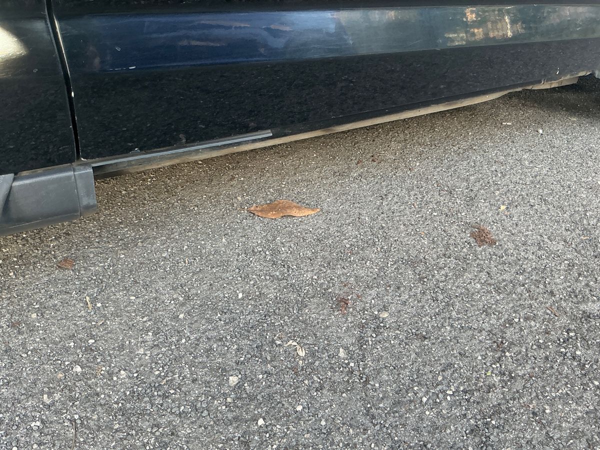 Ford C-Max 2016 — photo 45