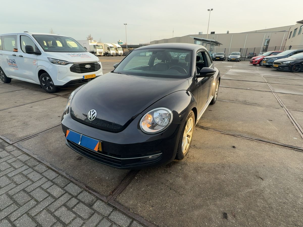 Volkswagen Beetle d'occasion