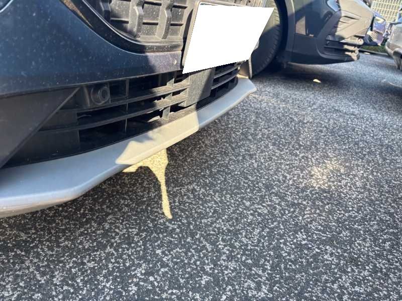 Ford Focus 2023 — photo 77
