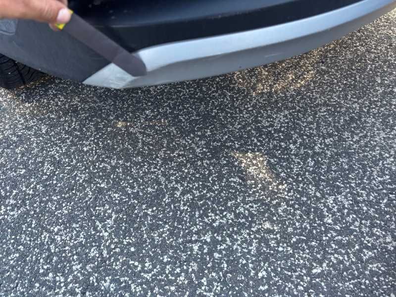 Ford Focus 2023 — photo 67