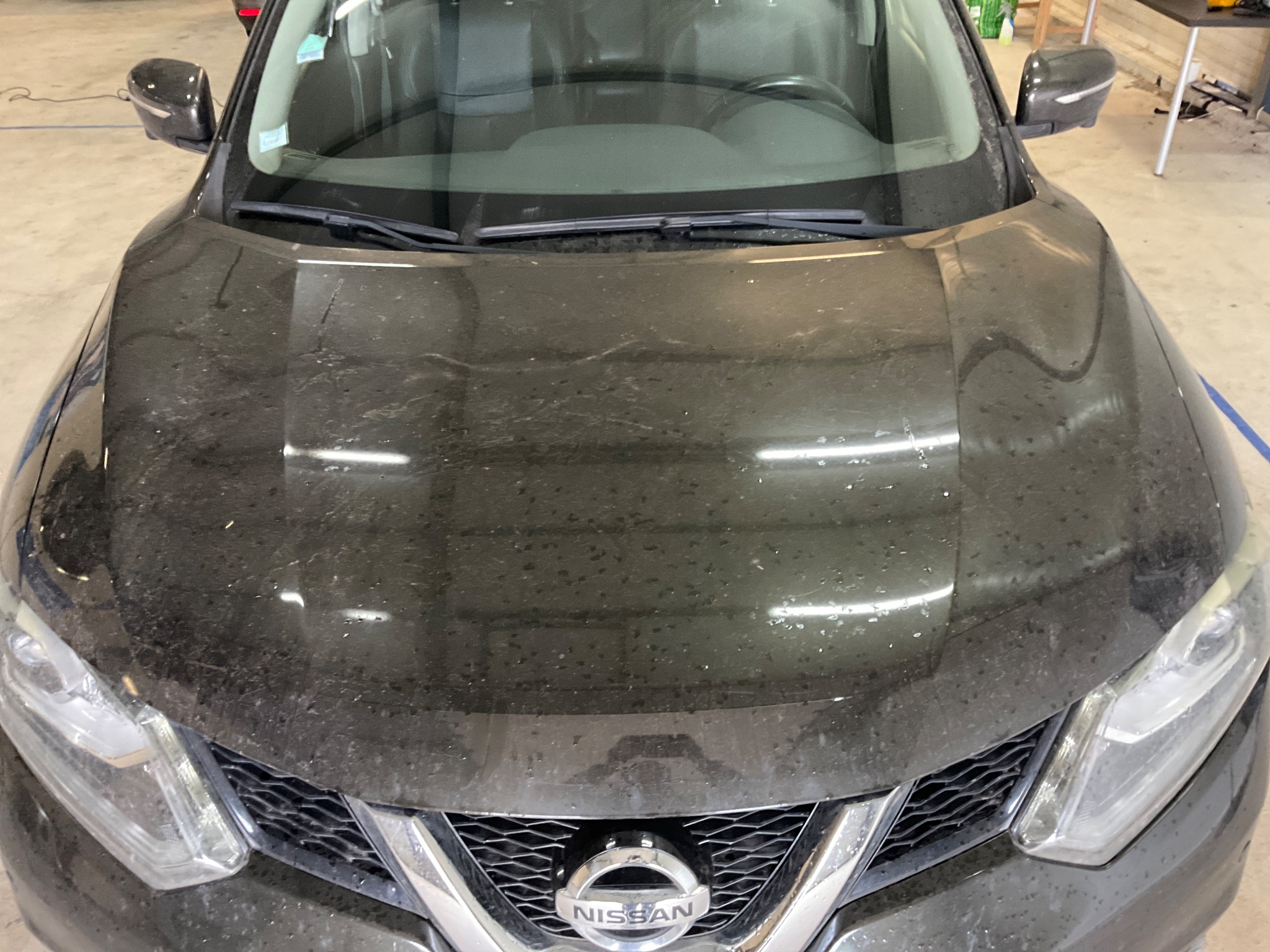 Nissan X-Trail 1.6 dCi Business photo Nissan X-Trail 1.6 dCi Business