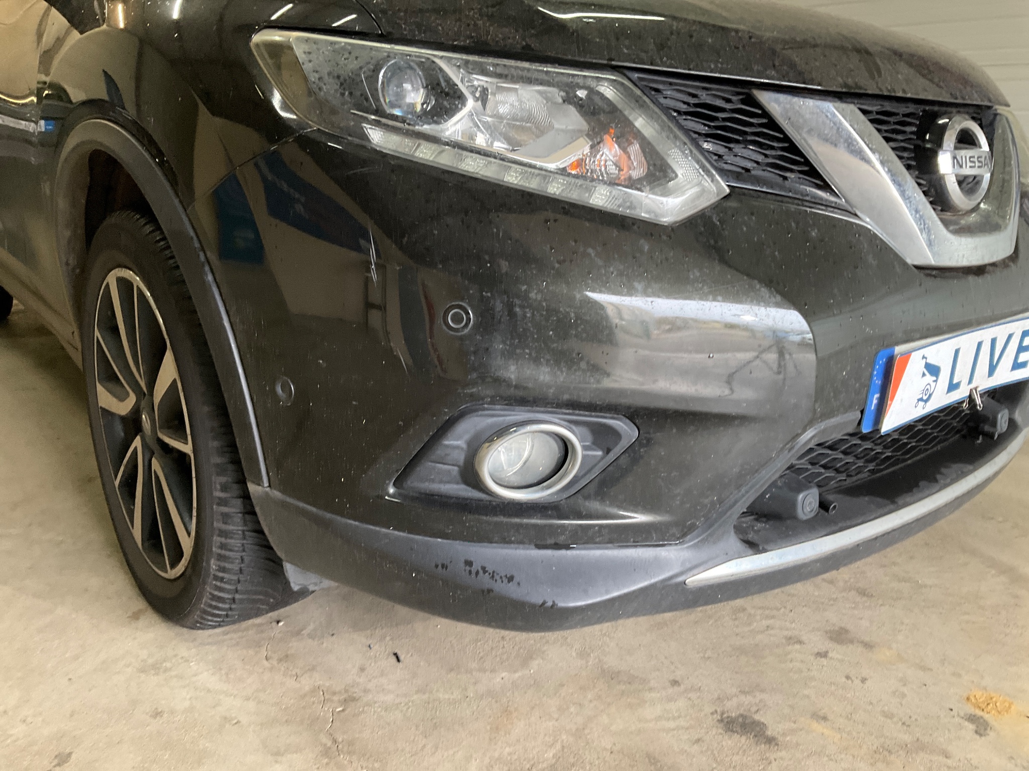 Nissan X-Trail 1.6 dCi Business photo Nissan X-Trail 1.6 dCi Business