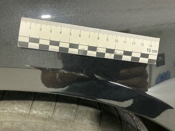 Fender rear