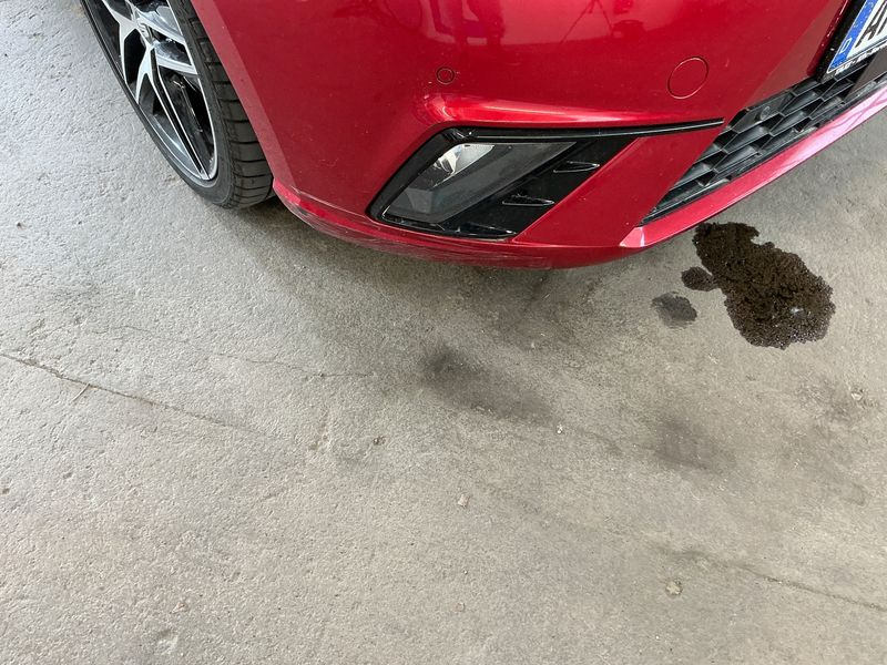 Seat Ibiza 1.5 TSI ACT FR 2018 – снимка 24