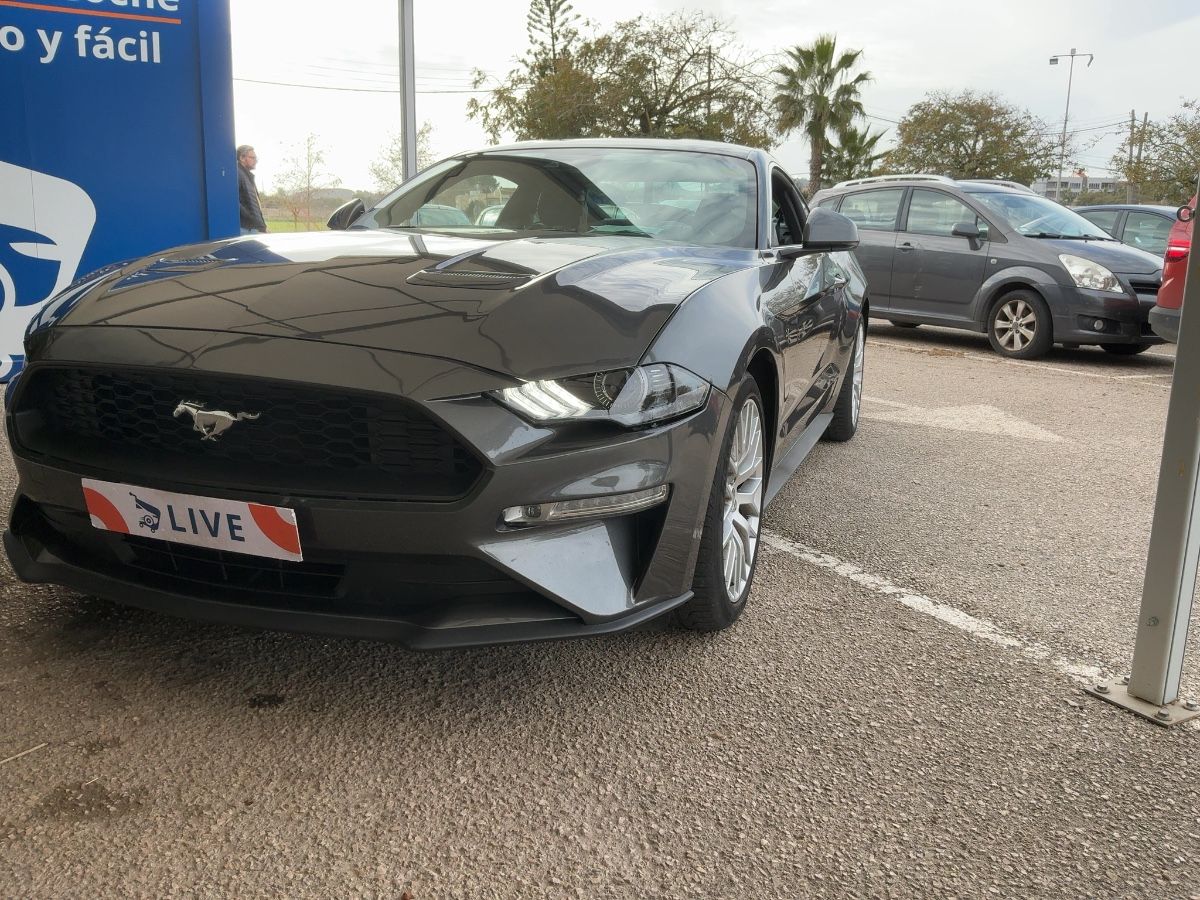 Ford Mustang d'occasion