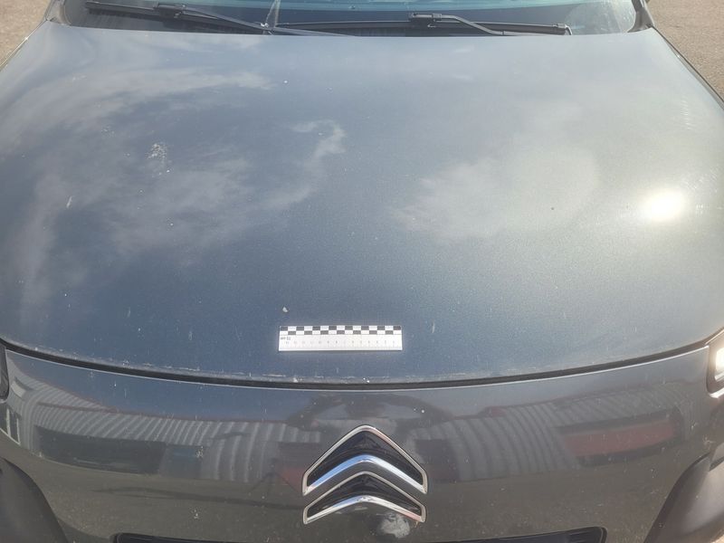 Citroen C4 Cactus 1.6 Blue-HDi Shine 2015 – снимка 29