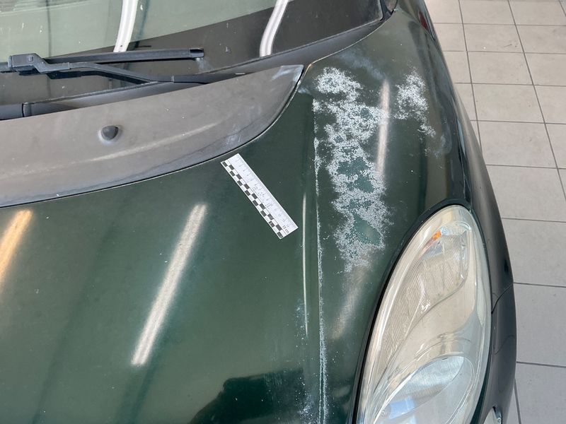 Fiat 500L 1.6 JTDM Trekking 2015 – снимка 39
