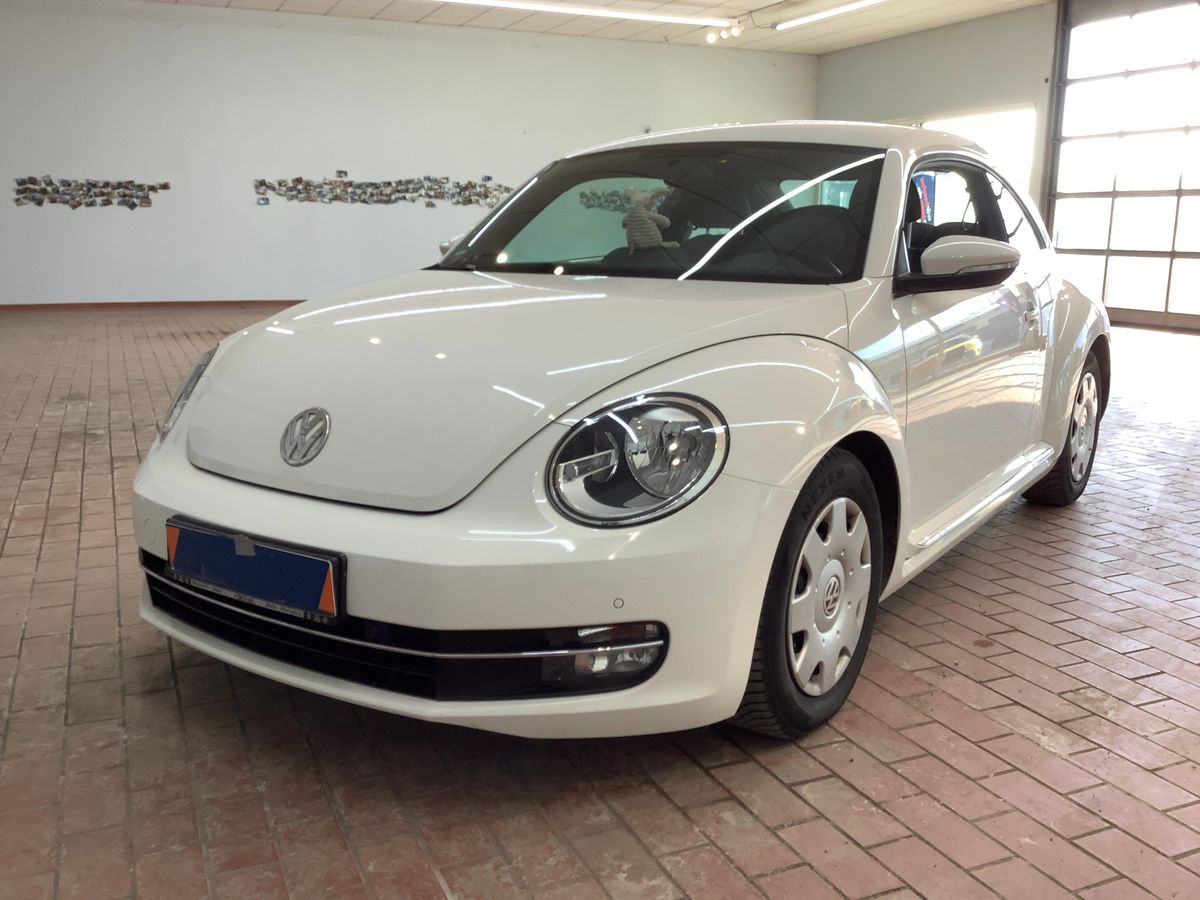 Volkswagen Beetle d'occasion