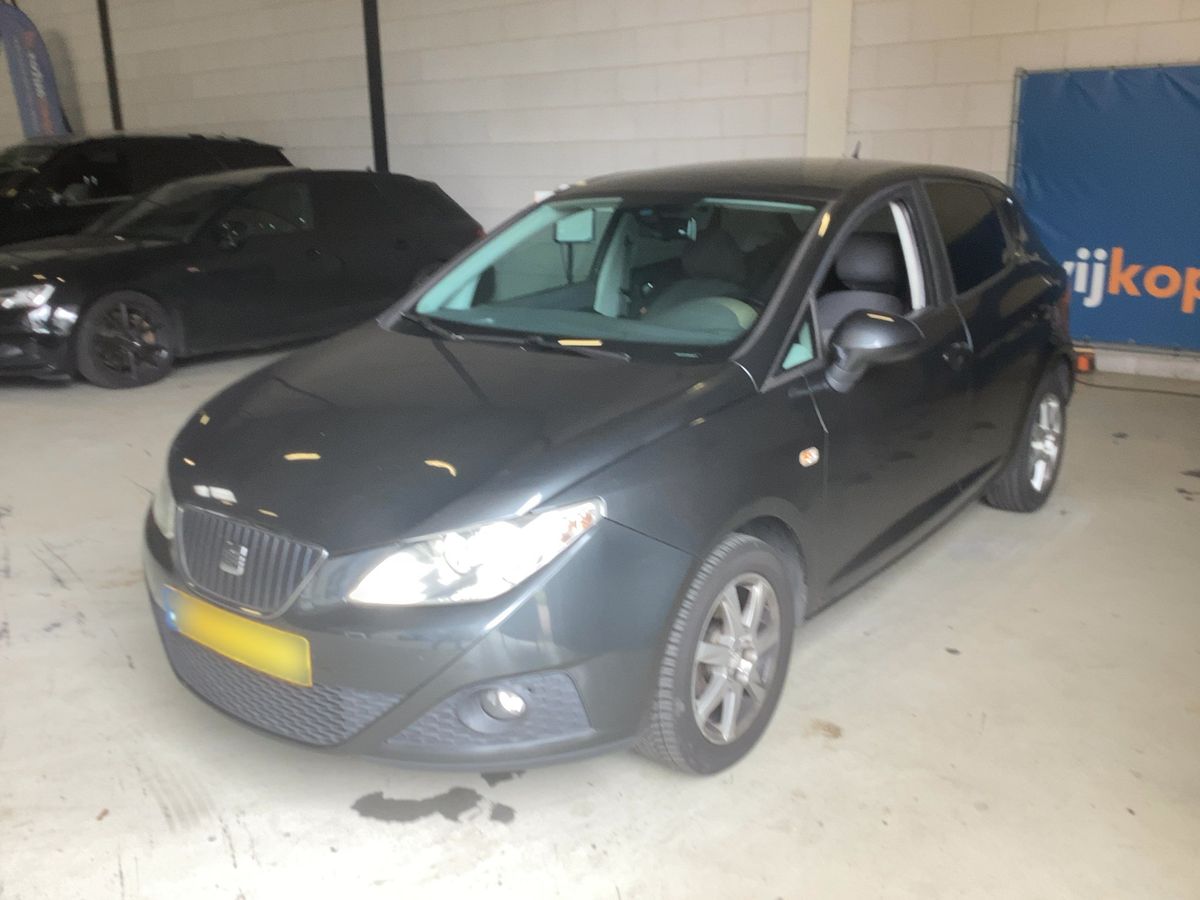 Seat Ibiza 2010