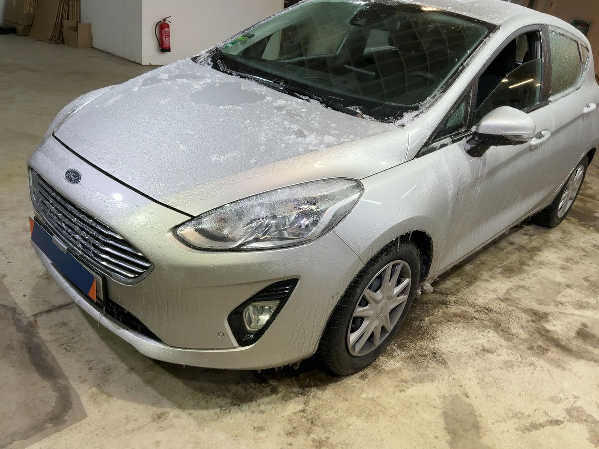 Ford Fiesta d'occasion