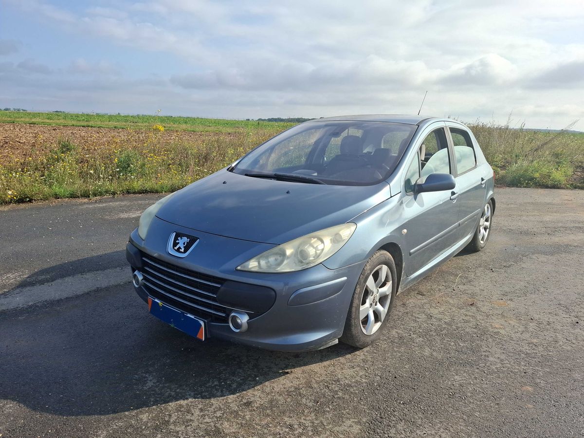 Peugeot 307 1.6 Executive Pack