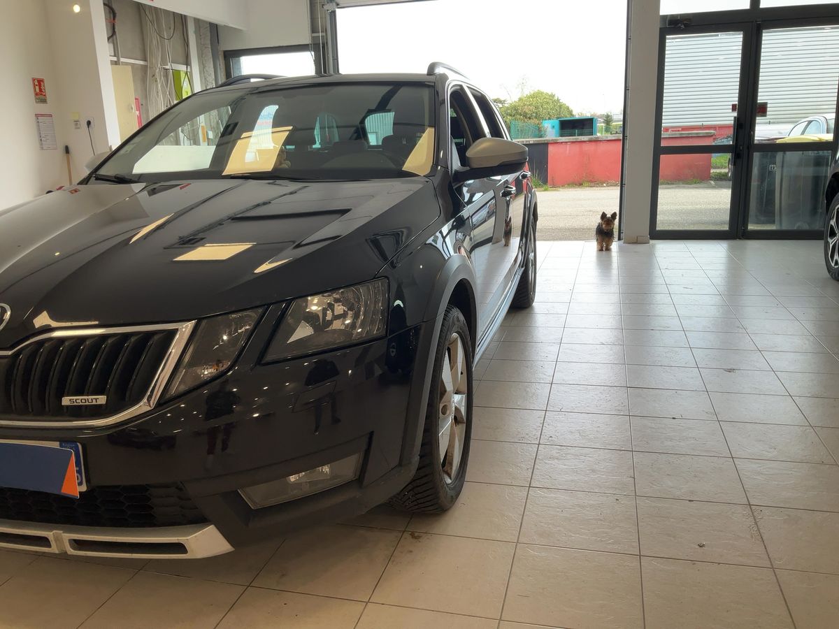 Skoda Octavia d'occasion