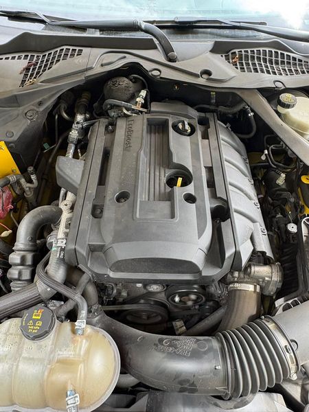 Ford Mustang 2.3 EcoBoost Convertible Basis — zdjęcie 23