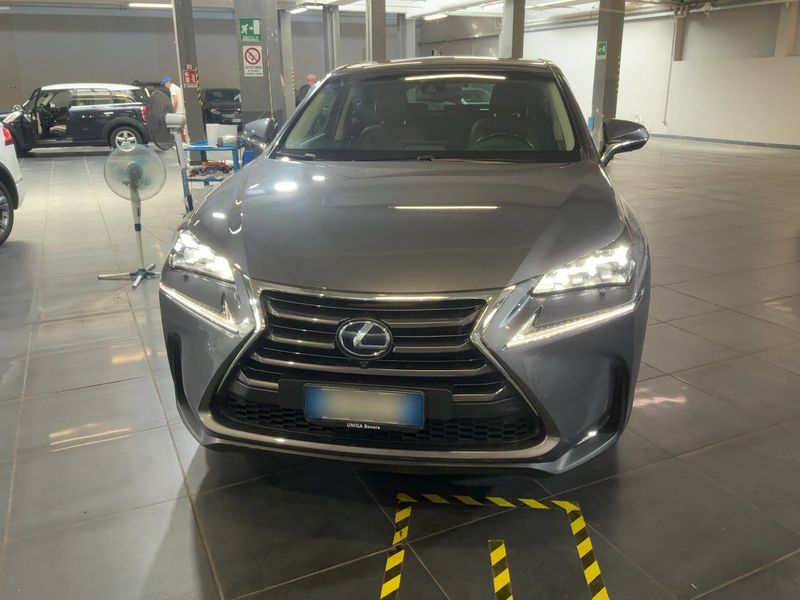 Lexus NX-Serie NX 300h E-Four Luxury Line — zdjęcie 9