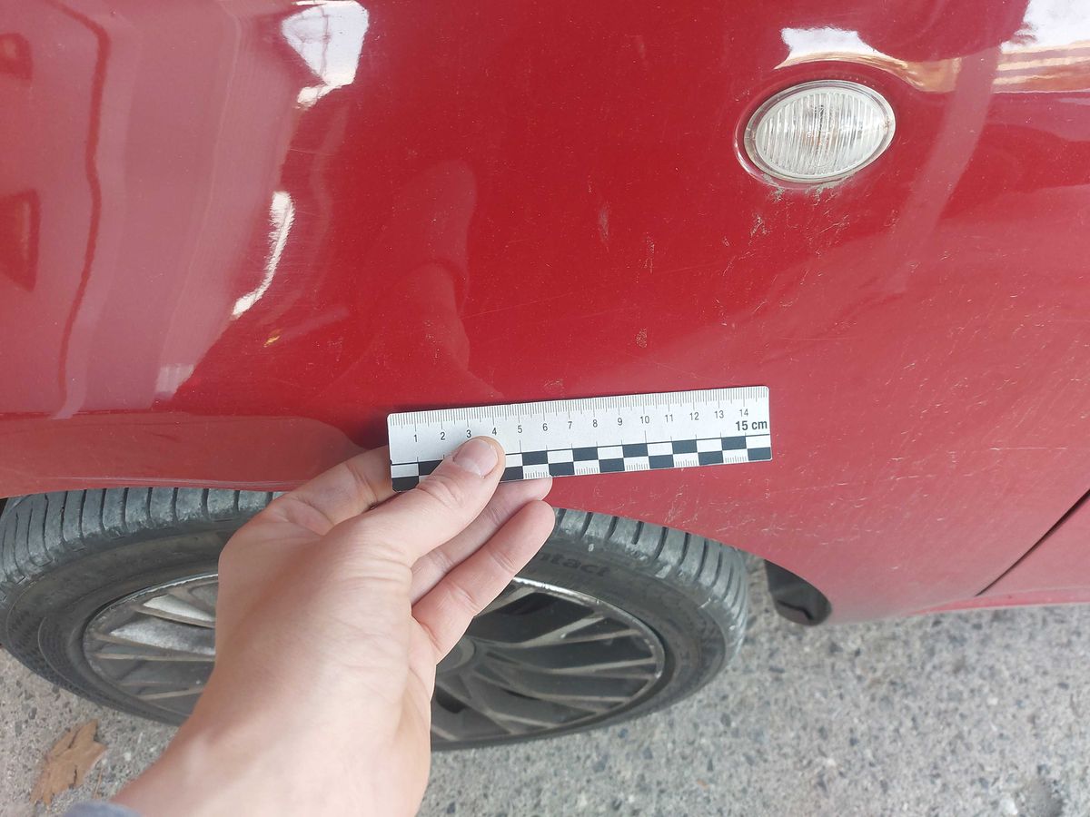 Fiat 500 2015 — photo 81