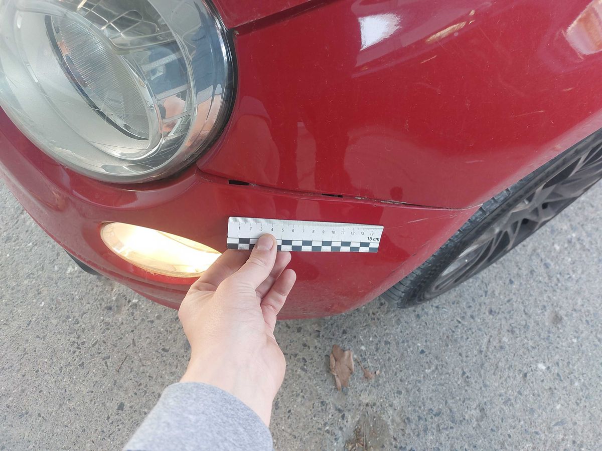 Fiat 500 2015 — photo 3