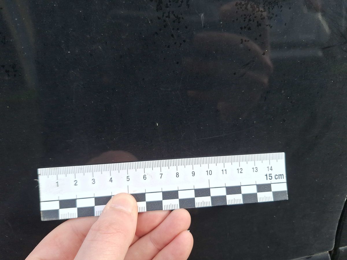 Peugeot 308 2014 — photo 61