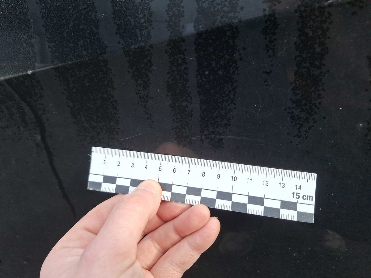Peugeot 308 2014 — photo 60