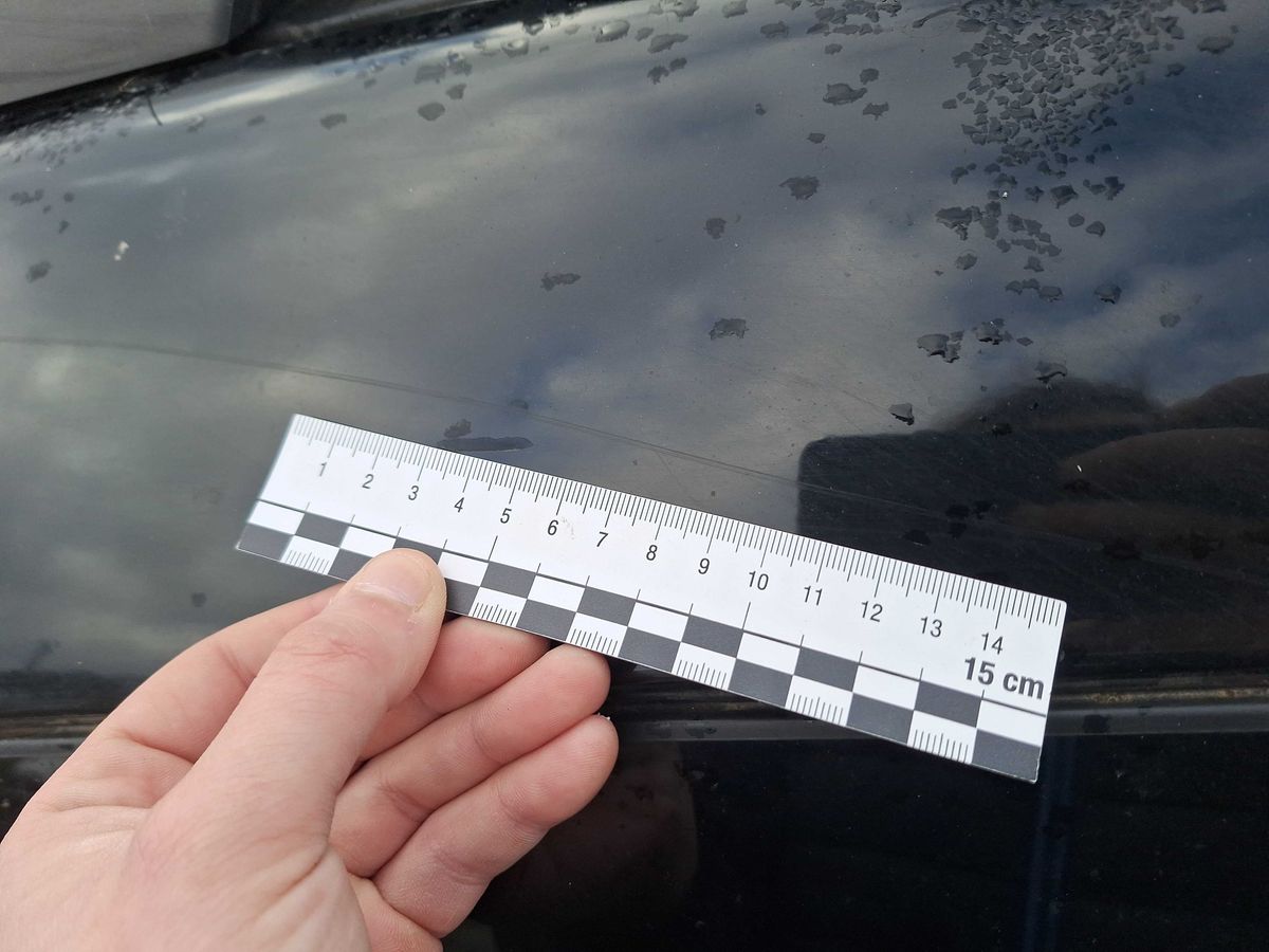 Peugeot 308 2014 — photo 40