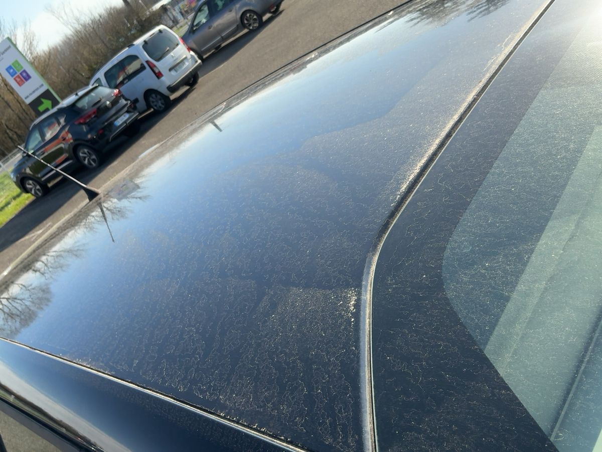 Citroen C4 2017 — photo 14