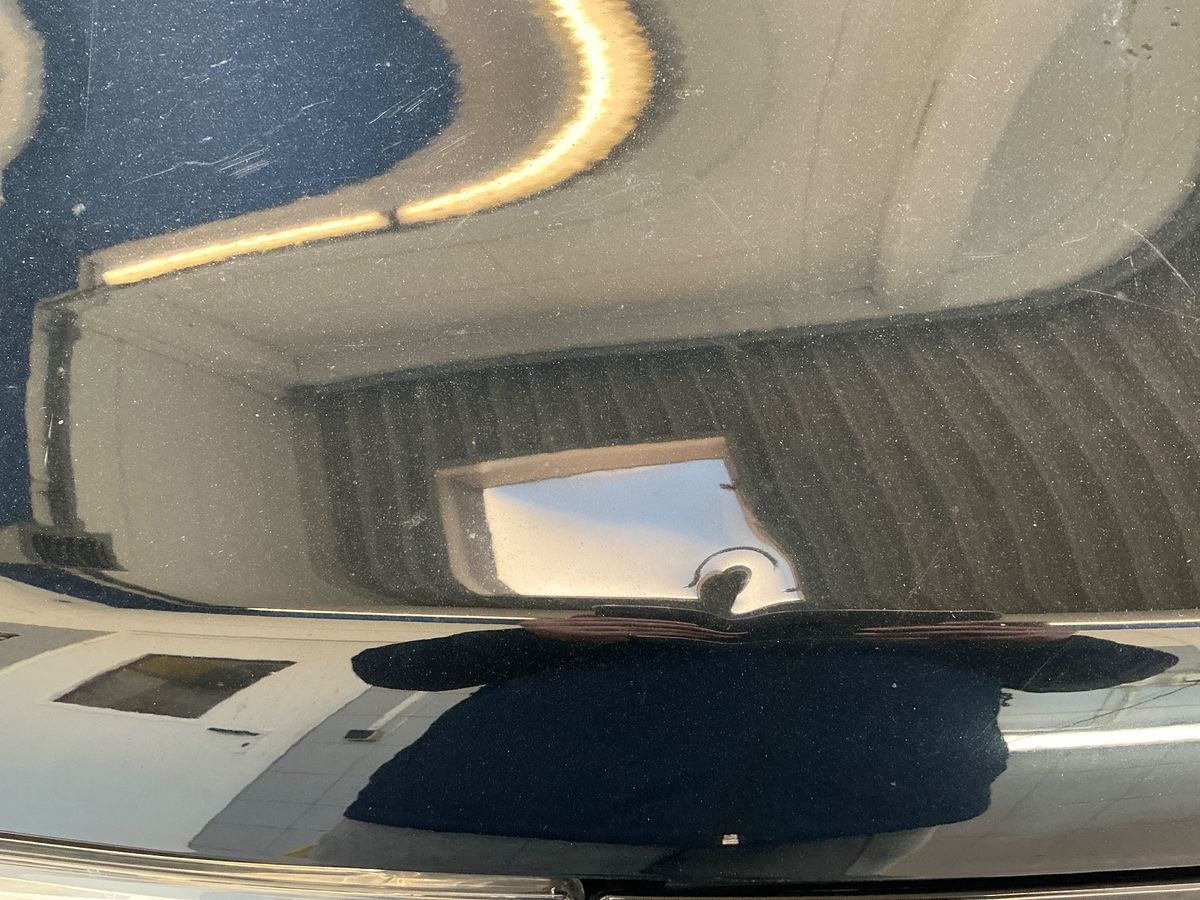 Renault Clio 2019 — photo 66