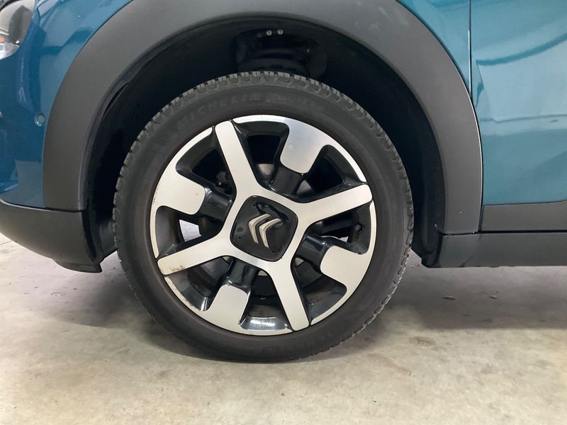 once human dracaena trees Dracaena draco, Dragon Tree main image 1