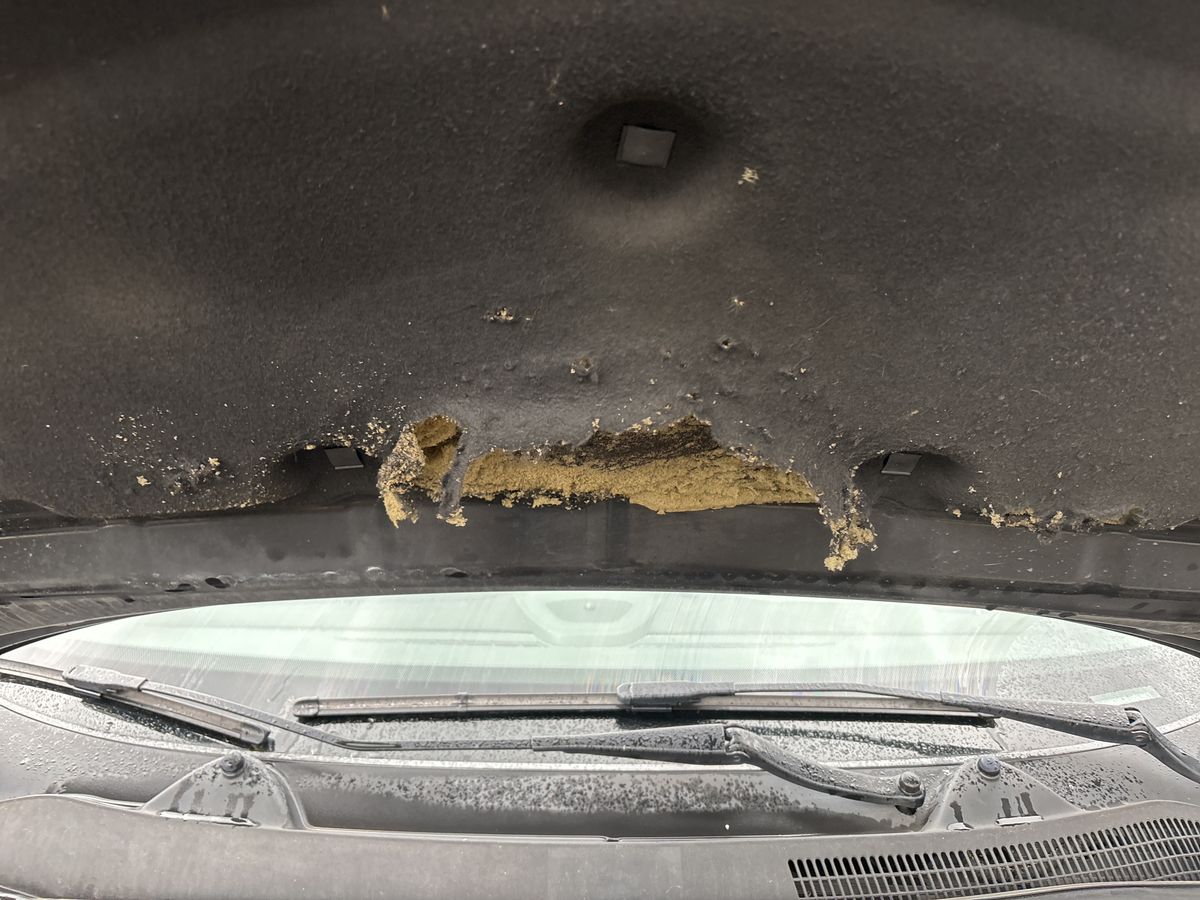 Opel Corsa d'occasion