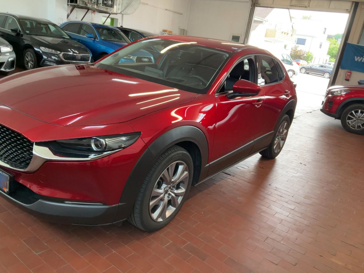 Mazda CX-30 d'occasion
