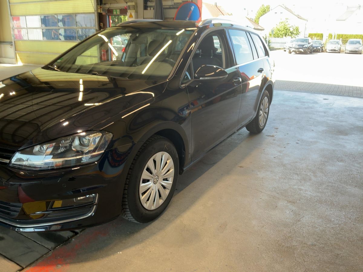 Volkswagen Golf d'occasion