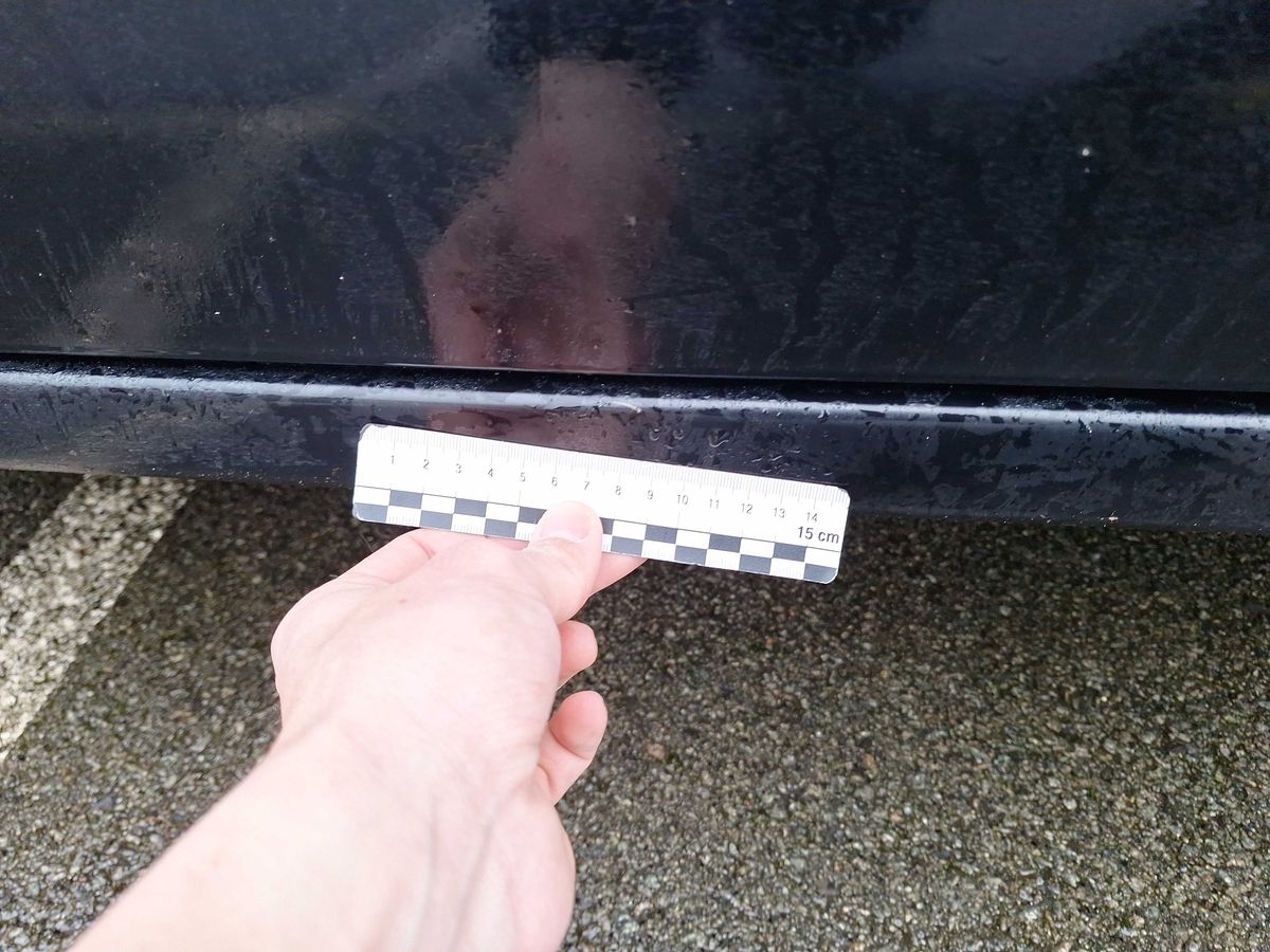 Peugeot Partner 2010 — photo 81