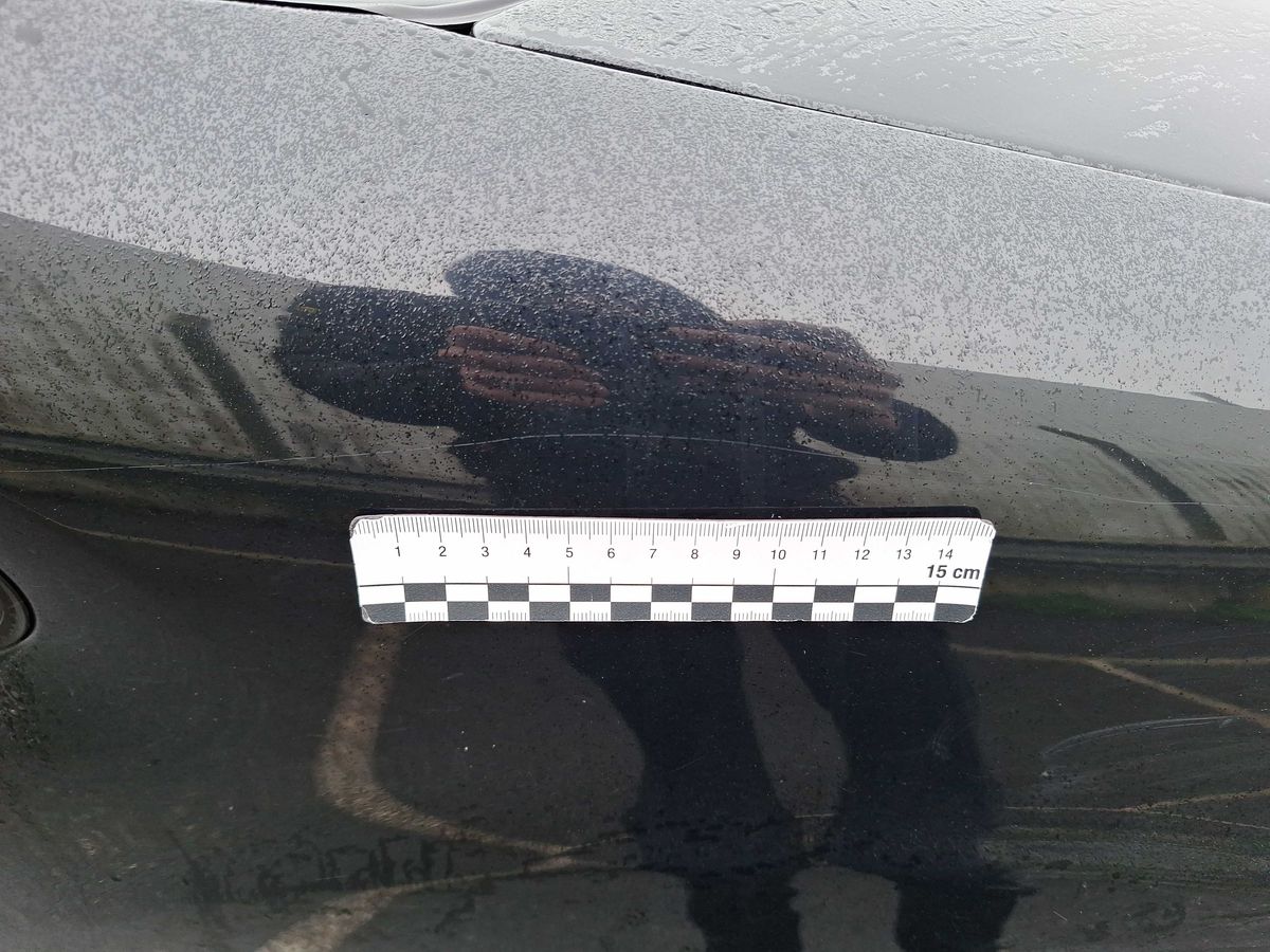 Peugeot Partner 2010 — photo 40