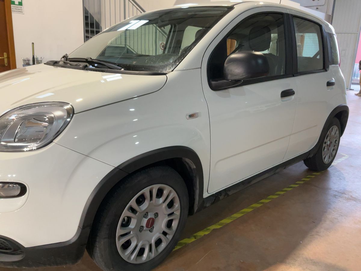 Fiat Panda d'occasion