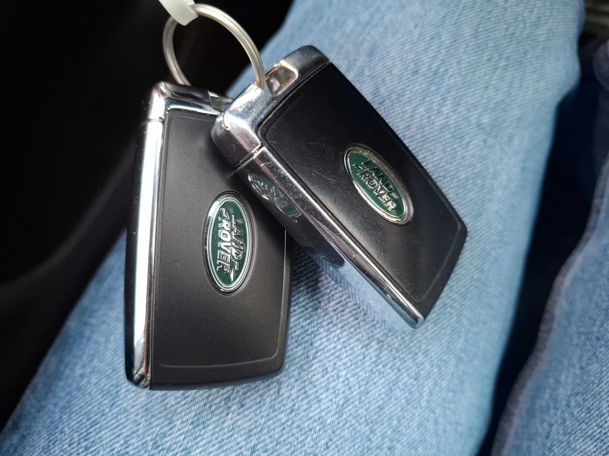Land Rover 2020 — photo 82