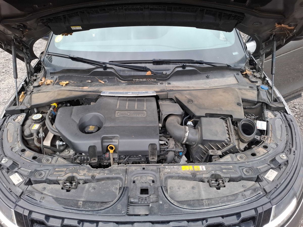 Land Rover 2020 — photo 9