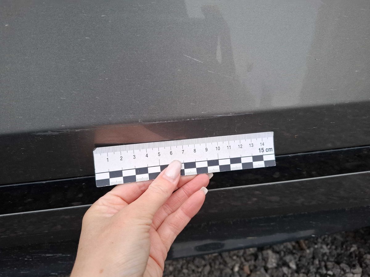 Land Rover 2020 — photo 79