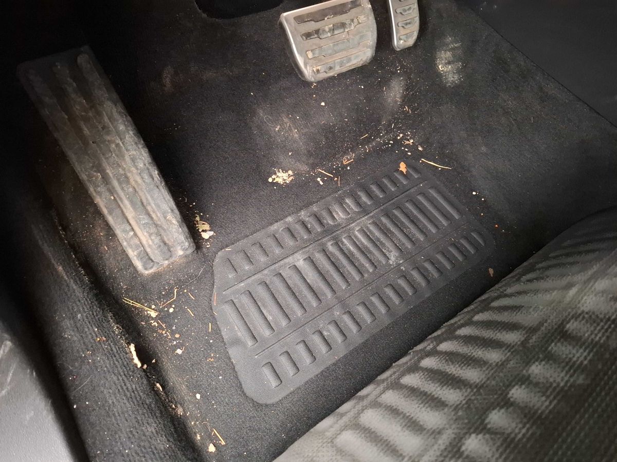 Land Rover 2020 — photo 70