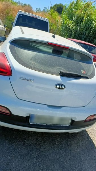 Kia pro_cee'd 1.4 Concept — zdjęcie 5
