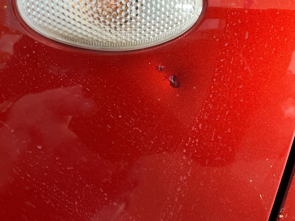 Suzuki Splash 2011 — photo 43